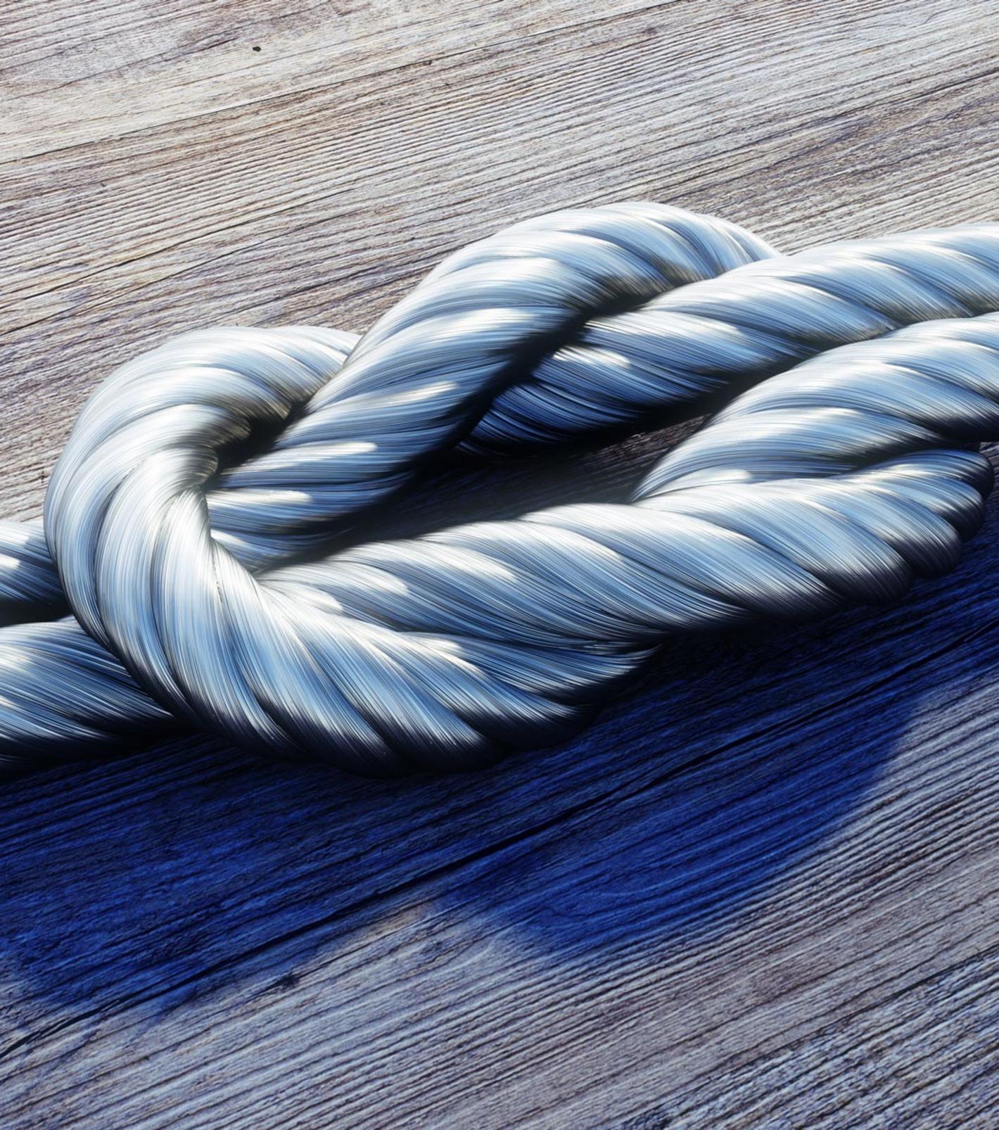 EHL_alliance_power_leverage